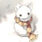 白猫