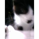 userPhoto