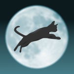 ねこてー