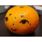 いつき
