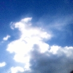 userPhoto