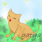 gatya