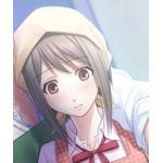 秋桜