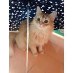 userPhoto