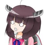 書類王ウール