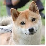 userPhoto