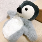 生き物解説チャンネル