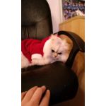 僕ちゃんです、。