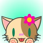 珠琉理