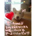 ジータ