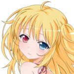 ふぃるきー