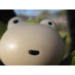 かえる