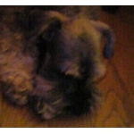 faded