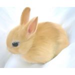 ウサウサ