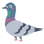 hato360