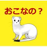 うみの　いぬ