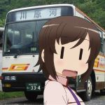 猛虎P