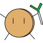 葱クッキー