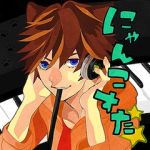 にゃんこすた。