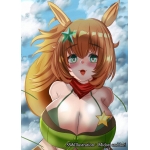 ミドリトイオリ