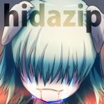 飛騨zip