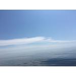 hiroguitar