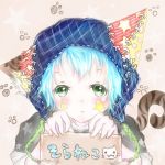宇宙(そら)ねこ