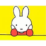 ミッフィーの人（サブ垢２）