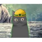 森のアラクマさん
