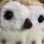 hujisuke