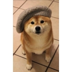 かずき