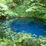 碧池の住人
