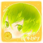 キミドリ96