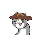 キノコ猫