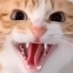 ファボ丸くん