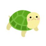 のっこ