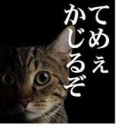 りっきー