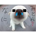 犬太