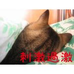 刺激過激