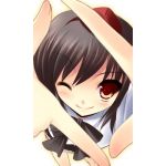 さいそく
