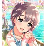 タツマキ