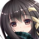 瀬奈茅冬*