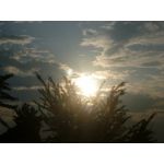 userPhoto