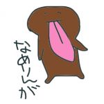 のこーん