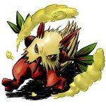 MonsterSage/Lio