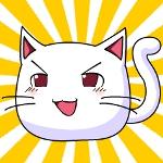 白猫