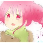 ぬこ