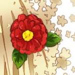 せつこ