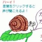 もゆ