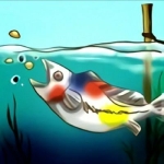 ミンミン＝サン